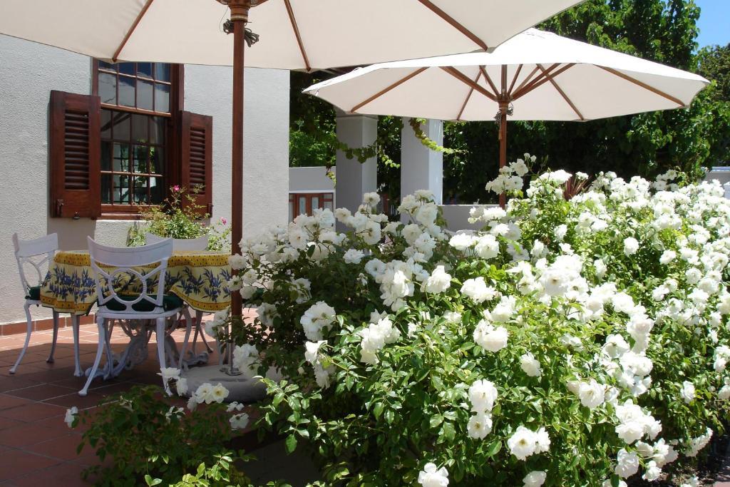 Glen Avon Lodge Boutique Hotel Cape Town Bagian luar foto